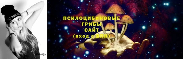 ГАЛЛЮЦИНОГЕННЫЕ ГРИБЫ Краснослободск